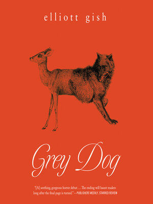 cover image of Grey Dog